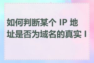 如何判断某个 IP 地址是否为域名的真实 IP