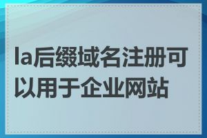 la后缀域名注册可以用于企业网站吗