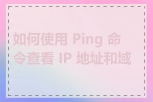 如何使用 Ping 命令查看 IP 地址和域名