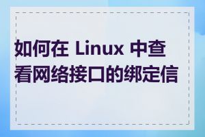 如何在 Linux 中查看网络接口的绑定信息