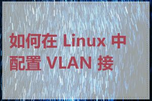 如何在 Linux 中配置 VLAN 接口