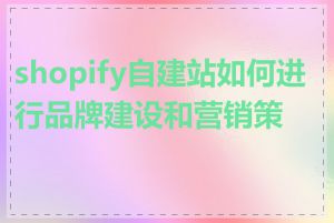 shopify自建站如何进行品牌建设和营销策略