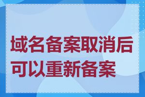 域名备案取消后可以重新备案吗