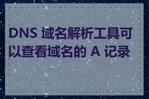 DNS 域名解析工具可以查看域名的 A 记录吗