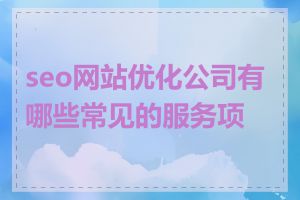 seo网站优化公司有哪些常见的服务项目