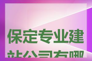 保定专业建站公司有哪些