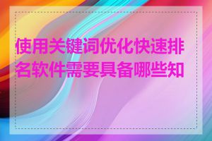 使用关键词优化快速排名软件需要具备哪些知识