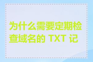 为什么需要定期检查域名的 TXT 记录