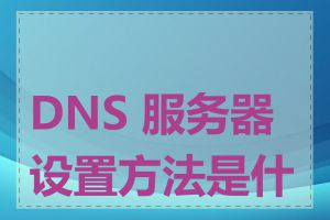 DNS 服务器设置方法是什么