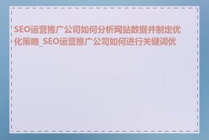 SEO运营推广公司如何分析网站数据并制定优化策略_SEO运营推广公司如何进行关键词优化