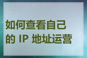 如何查看自己的 IP 地址运营商