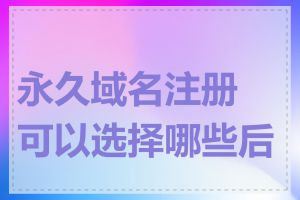 永久域名注册可以选择哪些后缀