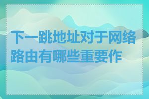 下一跳地址对于网络路由有哪些重要作用