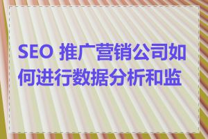 SEO 推广营销公司如何进行数据分析和监测