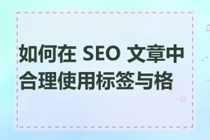 如何在 SEO 文章中合理使用标签与格式