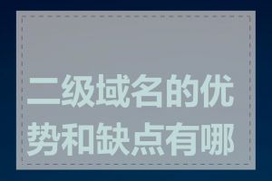 二级域名的优势和缺点有哪些