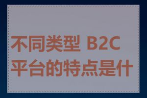 不同类型 B2C 平台的特点是什么