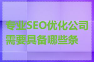 专业SEO优化公司需要具备哪些条件