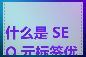 什么是 SEO 元标签优化