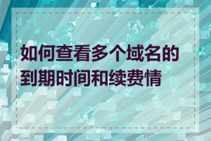 如何查看多个域名的到期时间和续费情况