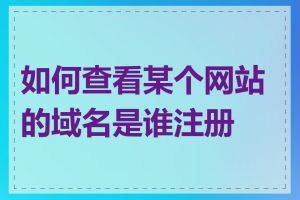 如何查看某个网站的域名是谁注册的