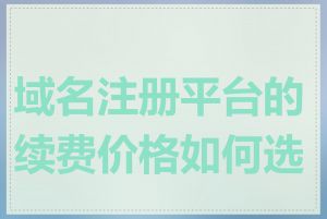 域名注册平台的续费价格如何选择