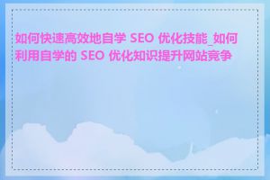 如何快速高效地自学 SEO 优化技能_如何利用自学的 SEO 优化知识提升网站竞争力