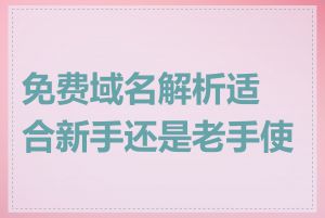 免费域名解析适合新手还是老手使用