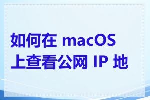 如何在 macOS 上查看公网 IP 地址