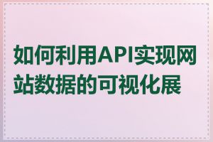 如何利用API实现网站数据的可视化展示