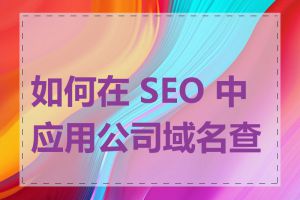 如何在 SEO 中应用公司域名查询