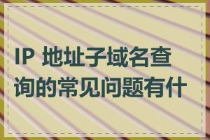 IP 地址子域名查询的常见问题有什么