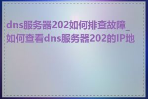 dns服务器202如何排查故障_如何查看dns服务器202的IP地址