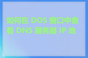 如何在 DOS 窗口中查看 DNS 服务器 IP 地址