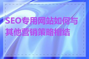 SEO专用网站如何与其他营销策略相结合