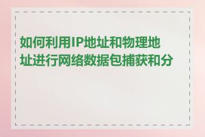 如何利用IP地址和物理地址进行网络数据包捕获和分析