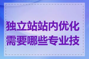 独立站站内优化需要哪些专业技能