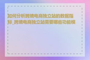 如何分析跨境电商独立站的数据指标_跨境电商独立站需要哪些功能模块