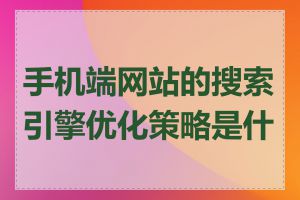 手机端网站的搜索引擎优化策略是什么