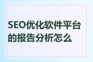 SEO优化软件平台的报告分析怎么看