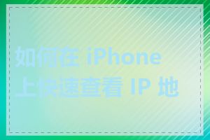 如何在 iPhone 上快速查看 IP 地址