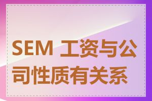 SEM 工资与公司性质有关系吗