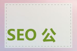 SEO 公司怎么选择