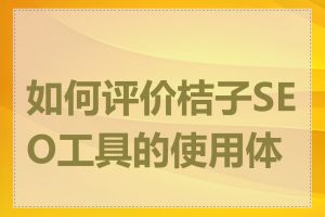 如何评价桔子SEO工具的使用体验