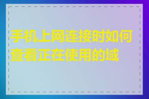 手机上网连接时如何查看正在使用的域名