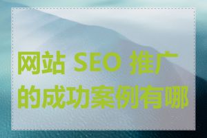 网站 SEO 推广的成功案例有哪些