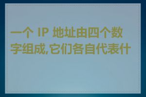 一个 IP 地址由四个数字组成,它们各自代表什么