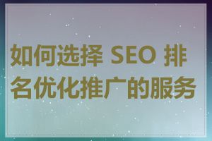 如何选择 SEO 排名优化推广的服务商