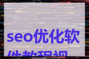 seo优化软件教程视频