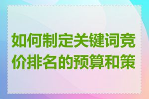 如何制定关键词竞价排名的预算和策略